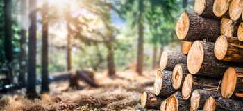 Types of Forestry Financing